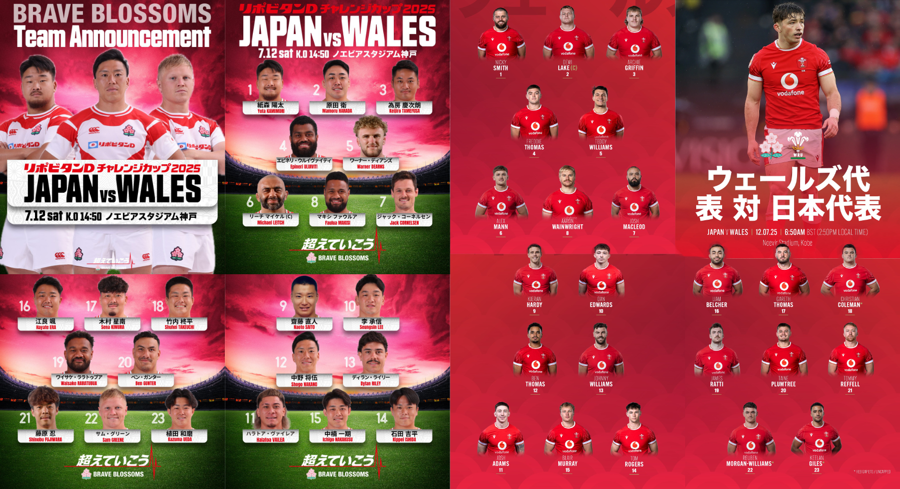 日本VSウェールズ(25夏)第2戦