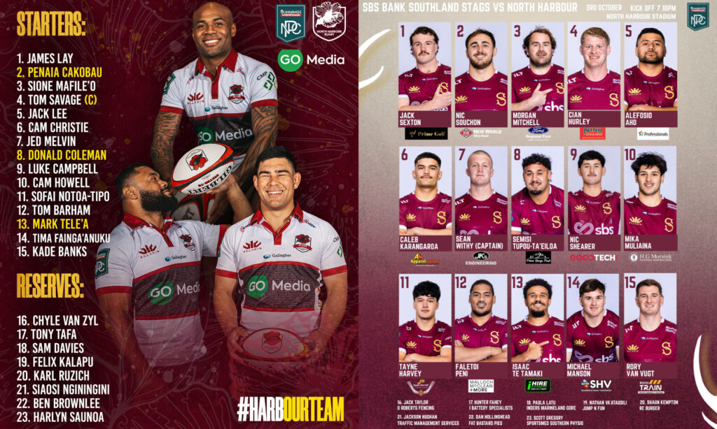 npc25-10-northhar-south